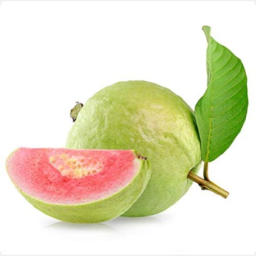 Guava Fruits